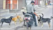  ?? ?? Feeding community dogs is a contentiou­s issue in residentia­l areas across the Capital.