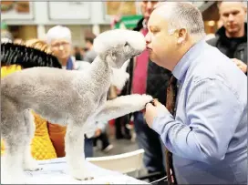  ?? Pictures: REUTERS ?? CLOSE: A man kisses his Bedlington terrier.