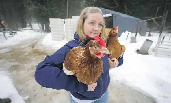  ?? MARK VAN MANEN/PNG ?? Tracy Robertson of Squamish says she can no longer afford to rear chickens for slaughter at Stony Mountain Farm due to, among other problems, sudden increases in packing and kill fees that have left small-scale producers holding the bag.