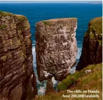  ??  ?? The cliffs on Handa host 200,000 seabirds