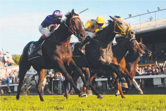  ?? Picture: TRACKSIDE PHOTOGRAPH­Y ?? Ipswich Cup contender Jumbo Prince (No.3) dead-heats with Col 'n' Lil in the Weetwood Handicap at Toowoomba.