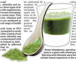  ??  ?? Green wheatgrass, spirulina and chlorella juice in a glass with wheat grass powder. Spirulina and chlorella were both found to contain faecal organisms in the study
