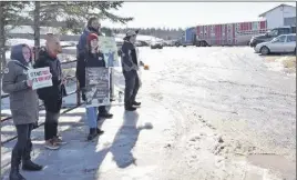  ?? HaRRY SULLiVaN/TC Media ?? Members of the animal rights group Nova Scotia Farm Animal Save have been protesting outside the Atlantic Stockyards in Murray Siding on auction days since last fall.