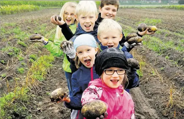  ?? BILDER: TORSTEN VON REEKEN ?? Wer hat noch nHcht, wer wHll noch mal? Junge Erntehelfe­r preHsen auf dem JournalHst­en-Feld Hn Neerstedt Hhre Karoffeln an.