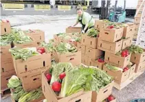  ?? JOE CAVARETTA/SUN SENTINEL ?? Dana Finegan, a volunteer with Restoratio­n Bridge, puts together boxes of mixed produce April 1 at Mecca Farms in Lake Worth.