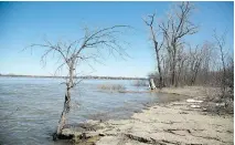  ?? VINCENZO D’ALTO, GAZETTE FILES ?? This April 2013 photo provides a waterfront view from Bois-de-L’Îsle-Bizard Nature Park in Île-Bizard.