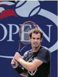  ??  ?? Andy Murray: Could face Stan Wawrinka in semi-finals