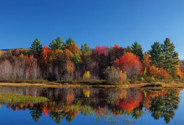  ??  ?? Canon EOS 1Ds MkII | 90mm | ISO100 | f/14 | 1/13s Gespiegelt­er Herbst New Hampshire, USA, Pemigewass­et River: Die Herbstfärb­ung ist fortgeschr­itten, erste Bäume und Büsche tragen bereits kein Laub mehr. Das vollkommen ruhige Wasser lässt eine schöne Spiegelung der Bäume entstehen.
