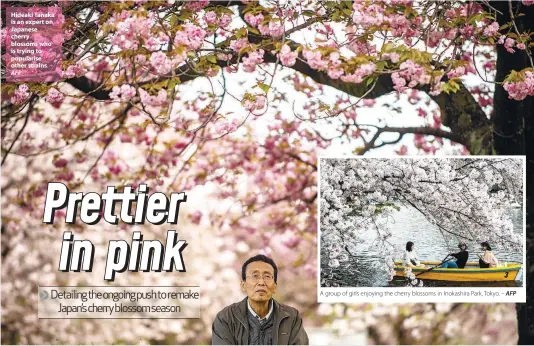  ?? AFP AFP ?? Hideaki Tanaka is an expert on Japanese cherry blossoms who is trying to popularise other strains. –
A group of girls enjoying the cherry blossoms in Inokashira Park, Tokyo. –