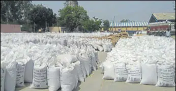  ?? HT PHOTO ?? Procured wheat lying in the open at Indri grain market in Karnal district.