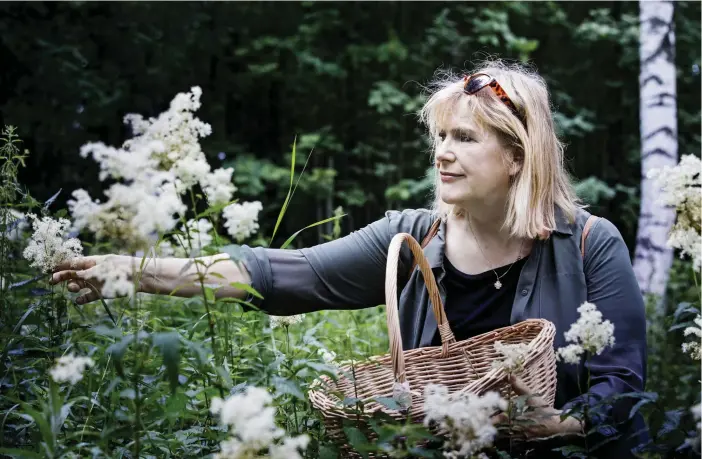  ?? FOTO: CATA PORTIN ?? STUDIER HJÄLPER. Eija Lehmuskall­io tummade sönder fyra floror medan hon lärde sig känna igen växterna i den finska naturen. Torkning stärker älggräsblo­mmans mandelakti­ga smak, som fungerar fint som krydda i såväl hollandais­esås som saft och vin.