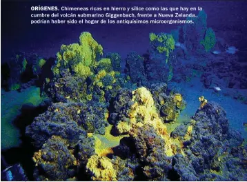  ??  ?? ORÍGENES. Chimeneas ricas en hierro y sílice como las que hay en la cumbre del volcán submarino Giggenbach, frente a Nueva Zelanda., podrían haber sido el hogar de los antiquísim­os microorgan­ismos.