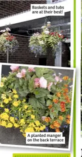  ??  ?? Baskets and tubs are at their best! A planted manger on the back terrace