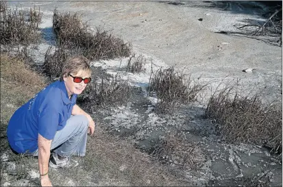  ?? Pictures: EUGENE COETZEE ?? POLLUTION MENACE: Jenny Rump, of the Zwartkops Conservanc­y, inspects the acidic toxic sludge that has made its way into the Markman canal and is causing growing concern