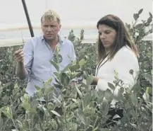  ??  ?? 0 NFU Scotland’s horticultu­ral committee chairman James Porter discusses the need for a pilot scheme with Caroline Nokes at his farm at East Scryne near Carnoustie