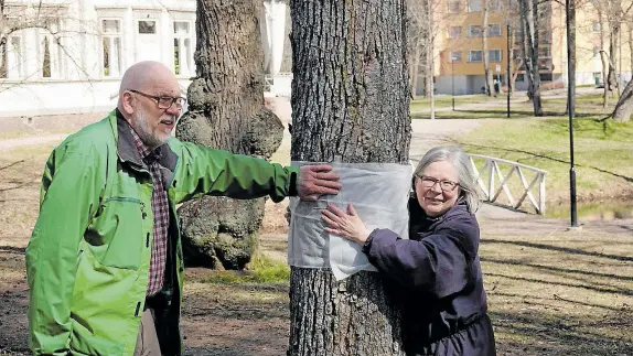  ?? FOTO: PEIK HENRICHSON ?? Sari Rahkonen är beredd att ta upp en juridisk kamp för att träden bevaras. Timo Noroviita deltar i aktionen.