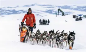  ??  ?? Last year, English-born musher Thomas Waerner easily won the Iditarod, one of the few US sporting events not canceled by concerns over the then-new coronaviru­s. Photograph: Loren Holmes/AP