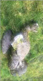  ??  ?? Two of the four limestone statues that were stolen from the entrances gates at Milltown Castle more than eight years that were found last week in a field in Co Clare.