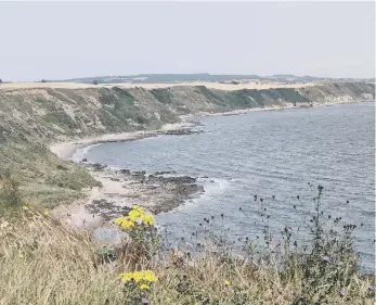  ?? ?? Dawn Humphrey captured this lovely view from Scalby Mills looking across to Jackson’s Bay.