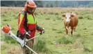  ??  ?? Verein für Naturschut­z und Landschaft­spflege: 1.970 € · Anschaffun­g Freischnei­der für Hinterwäld­er Weideproje­kt