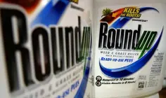  ??  ?? DAMAGES: Monsanto has lost a court case in the US based on whether or not Roundup caused a groundskee­per’s cancer