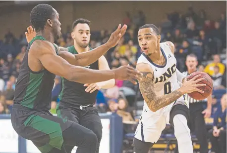  ?? Austin Humphreys, Special to the Denver Post ?? Northern Colorado’s Jordan Davis tries to find a path around the Sacramento State defense during Saturday’s game in Greeley. Davis scored 24 points for the Bears in their 65-59 victory.