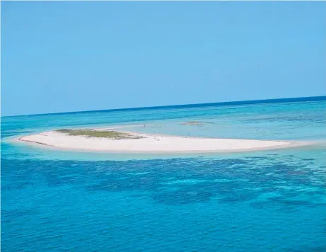  ?? CURIOUS: Reports Michaelmas Cay off Cairns has “100 per cent coral cover” fly in the face of scaremonge­ring about coral bleaching. ??