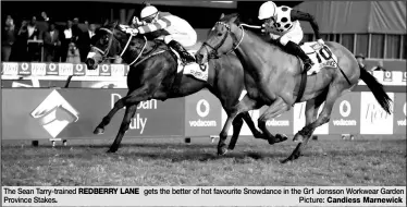  ?? Picture: Candiess Marnewick ?? The Sean Tarry-trained REDBERRY LANE gets the better of hot favourite Snowdance in the Gr1 Jonsson Workwear Garden Province Stakes.