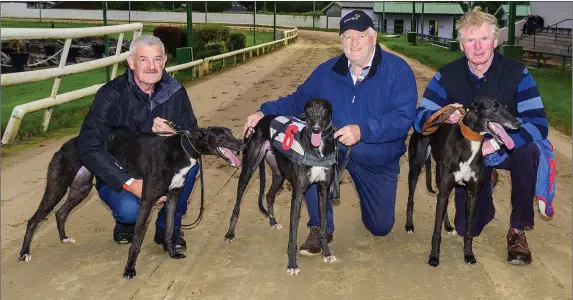  ?? Photo by Denis Walsh ?? 1st Set of Qualifiers after the great race in the 1st of the John and Mary Killeacle Dowling Memorial Semi Finals at the Kingdom Greyhound Stadium. L-R, Moss McKenna with Pennylane Storm, Jerry Griffin with Rockburst Mike and Timmy Carmody with Ardfert Rooster