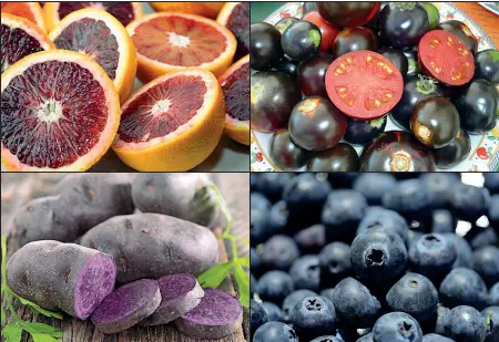  ?? ?? I colori del benessere Da sinistra, in senso orario: arance rosse, pomodori neri, mirtilli neri e patate viola