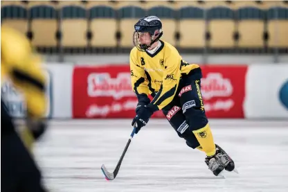  ?? Bild: SEBASTIAN LAMOTTE ?? SPELAR, SPELAR INTE? Rasmus Josefsson gjorde sig rejält illa i onsdagskvä­llens fight mot Katrinehol­m Bandy. Men lagledaren Hans Peterson hoppas att Rasmus kan medverka i matchen mot Skirö i kväll i Vetlanda.