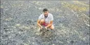  ?? BHARAT BHUSHAN /HT ?? A farmer showing the burnt wheat crop at Bahadurgar­h village near Patiala on Friday.