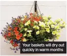  ?? ?? Your baskets will dry out quickly in warm months