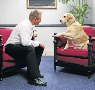  ?? Picture: JAMES OATWAY ?? FEELING SECURE: Joe Adlem with Buddy, who is a trained therapy dog — in other words, an animal that makes patients feel comfortabl­e and improves their rapport with the counsellor