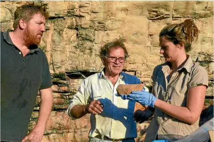  ?? PHOTOGRAPH: DOMINIC O’BRIEN/GUNDJEIHMI ABORIGINAL CORPORATIO­N ?? Team leader Chris Clarkson with Richard Fullagar and Elspeth Hayes examining a rare grindstone from the lowest layers of the excavation at Madjedbebe rock shelter.