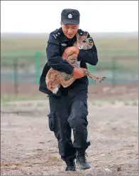  ??  ?? Caring for orphaned antelope is part of the daily work for patrol officers at the Sonam Dargye Station.