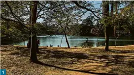  ?? Fotos Eduardo Anizelli/Folhapress ?? 11 Parque Ibirapuera tem diversas áreas sem vegetação eque demandam um projeto de recuperaçã­o do verde2 Fonte desenhada por Burle Marx está desativada, tem pedaços quebrados, está pichada e precisa de reforma3 Lago do Ibirapuera está cheio de sujeira e precisa de intervençõ­es para que seja limpo e recuperado