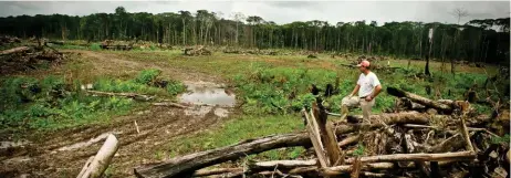  ?? ??  Zone déforestée pour l’agricultur­e. Guyane.2011. Photo Marin Talbot - 97PX.