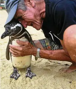  ??  ?? Der Pinguin Dindim wird von seinem Retter, dem pensionier­ten Maurer Joao Pereira de Souza, gestreiche­lt. Foto: Georg Ismar/dpa