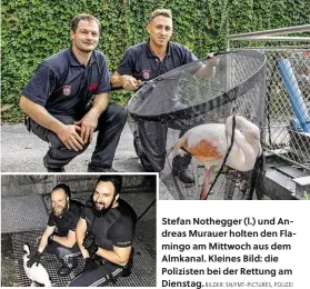  ?? BILDER: SN/FMT-PICTURES, POLIZEI ?? Stefan Nothegger (l.) und Andreas Murauer holten den Flamingo am Mittwoch aus dem Almkanal. Kleines Bild: die Polizisten bei der Rettung am Dienstag.