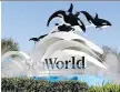  ?? JOHN RAOUX/AP FILES ?? SeaWorld has suffered backlash after the 2013 Blackfish documentar­y.