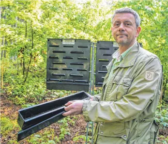  ?? FOTO: GERD MÄGERLE ?? Markus Weisshaupt inspiziert den Inhalt einer Borkenkäfe­rfalle.