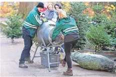  ?? FOTO: FRANK OPPITZ ?? Der Weihnachts­baumverkau­f, wie hier 2019 beim Bissinghei­mer Weihnachts­markt, findet auf einigen Märkten auch 2020 statt.