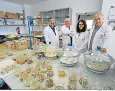  ?? FOTOS: JAVIER ALBIÑANA ?? José Damián Ruiz, José Manuel Recio, Marina López y Fernando Díaz en el Laboratori­o de Suelos de la UMA.