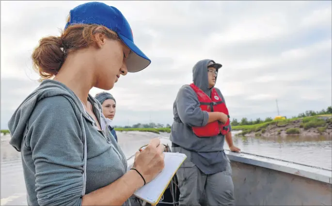  ?? COLIN CHISHOLM ?? Acadia student Maja Reinhartse­n jots down some notes while Hunter Porter looks on. A study of the Avon River to examine fish species, commission­ed by the provincial transporta­tion department, is underway. Read more on page 3.