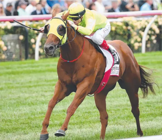  ?? Picture: GEORGE SALPIGTIDI­S ?? He Or She wins the Australian Cup at Flemington with Craig Williams aboard and is not without a chance in today’s Underwood Stakes.