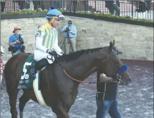  ?? The Sentinel-Record/Richard Rasmussen ?? RETIRED CHAMPION: Jockey Joel Rosario and Nadal head into the winner’s circle after winning the second division of the Arkansas Derby on May 2 at Oaklawn Racing Casino Resort.