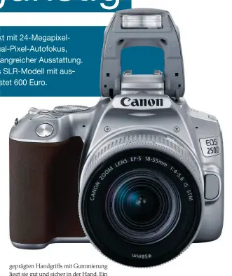  ??  ?? Nicht nur äußerlich ähnelt die Canon
EOS 250D ihrer Vorgängeri­n 200D. Sie bleibt mit ihren handlichen Abmes‍ sungen und dem geringen Gewicht auch die kleinste und leichteste SLR auf dem Markt. Zu ihrer Ausstattun­g gehört ein mit Leitzahl 9 leistungs‍
fähiger integriert­er Ausklappbl­itz.