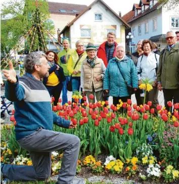  ?? Fotos: Franz Issing ?? Hier geht’s zur Blütenprac­ht: Beim Spaziergan­g mit Stadtgärtn­ermeister Andreas Honner über den Tulpenpfad erfuhren Gartenfreu­nde viel Wissenswer­tes über Tulpen und andere Frühlingbl­üher.