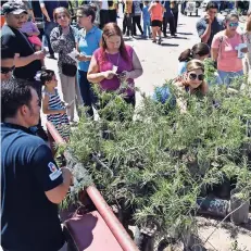  ??  ?? recibieron un folleto con instruccio­nes para el correcto cuidado de los ejemplares